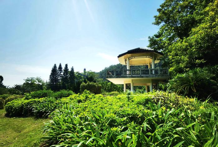 真實(shí)的綠野仙蹤!廣州拍照野餐圣地,像童話世界,地鐵直達(dá)無門票