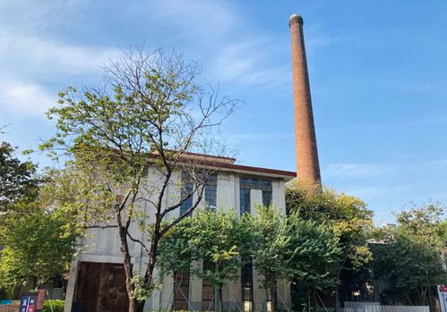 嶺南股份助力鳒魚(yú)洲煥新顏