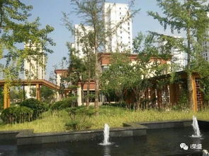 大道匠心 探求榮盛執(zhí)著于背后的細(xì)節(jié)故事