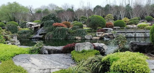 獨(dú)具南北園林特色兩千畝精品公園西安中園唐苑免費(fèi)開(kāi)放