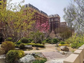 還能在河西中心買(mǎi)到高品質(zhì)的 嗎