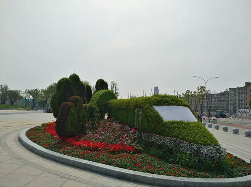 【景寧建國71周年國慶綠雕廠家定制價格】- 