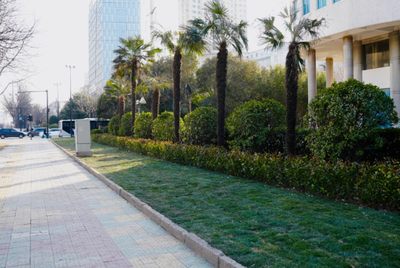 城鄉(xiāng)一體化示范區(qū)城管局拆墻透綠有力度