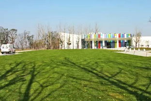 為了2022年杭州亞運(yùn)會,蕭山出了全民大計劃 還有個蕭山版 中央公園 ....