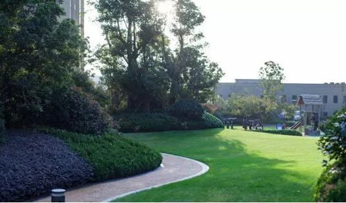 新力地產(chǎn)鈺瓏灣 經(jīng)濟(jì)性景觀(guān)與公園化住宅的完美碰撞