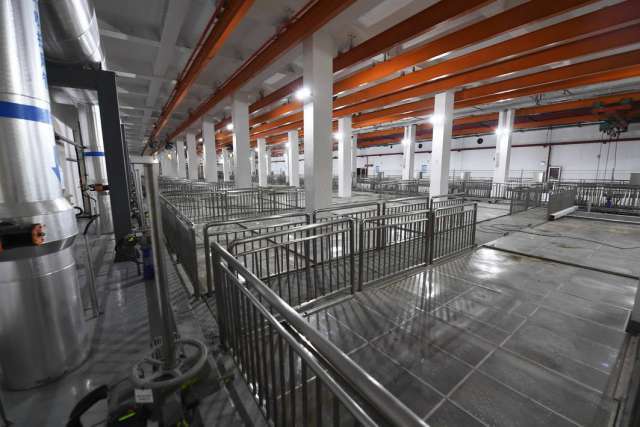 綠茵之下，匠心筑夢(mèng) 一座公園的園林實(shí)業(yè)密碼